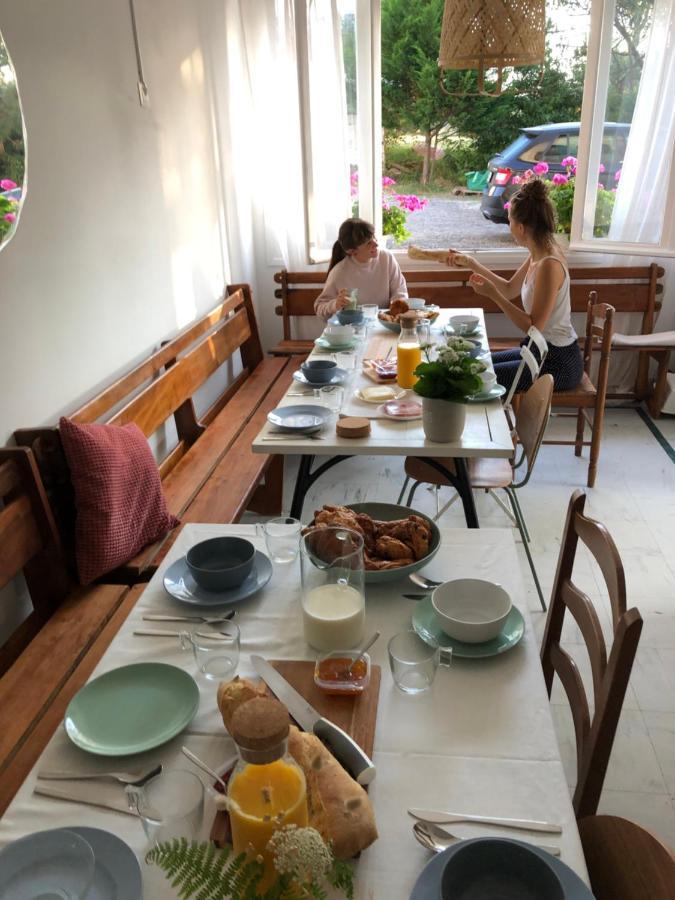 Surfhostel Hossegor Soorts-Hossegor Dış mekan fotoğraf